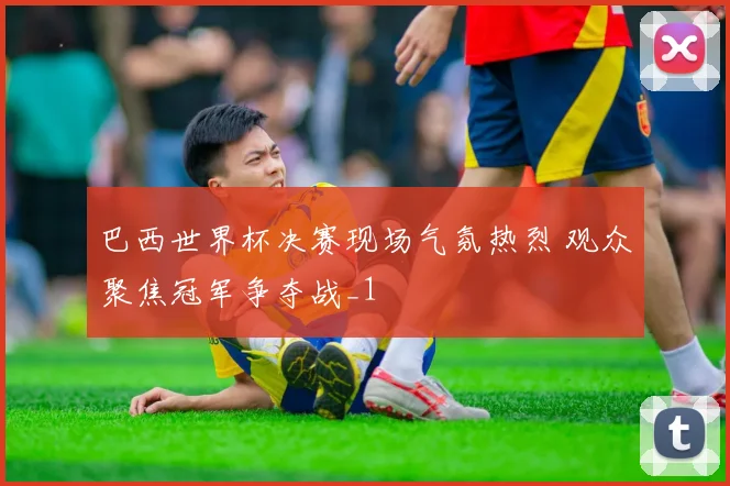 巴西世界杯决赛现场气氛热烈 观众聚焦冠军争夺战_1