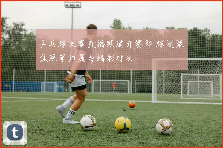 乒乓球决赛直播频道开赛即 球迷聚焦冠军归属与精彩对决