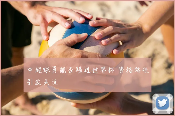 中超球员能否踢进世界杯 资格路径引发关注