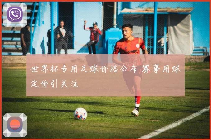 世界杯专用足球价格公布 赛事用球定价引关注