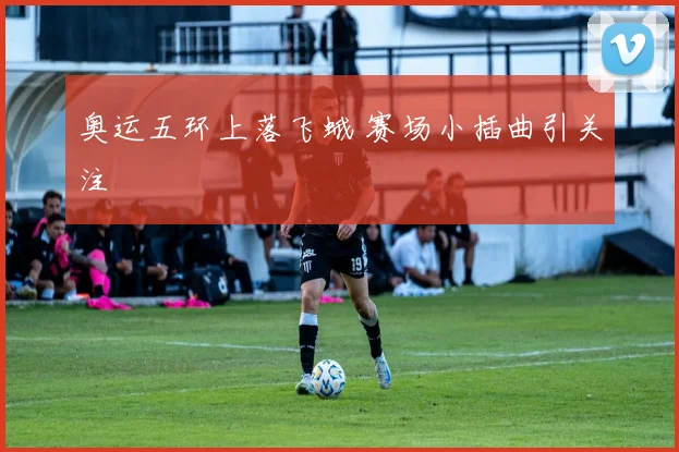 奥运五环上落飞蛾 赛场小插曲引关注