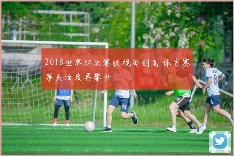 2018世界杯决赛收视率创高 体育赛事关注度再攀升
