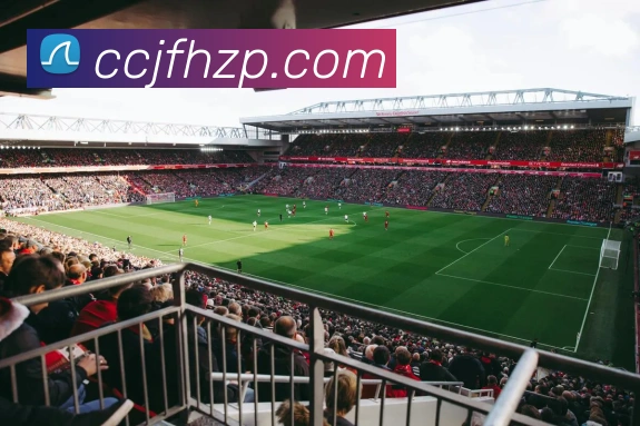 体育赛事